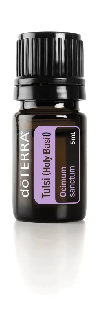 TULSI HOLY BASIL ESSENTIAL OIL d TERRA